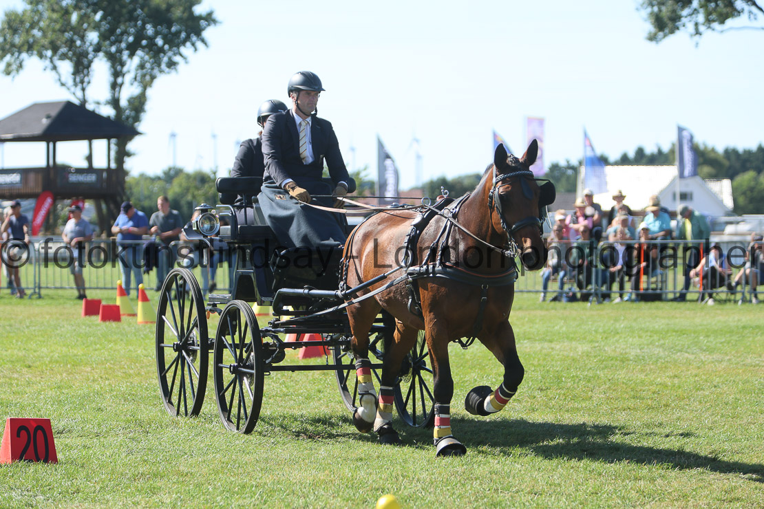  WM 1sp Horses