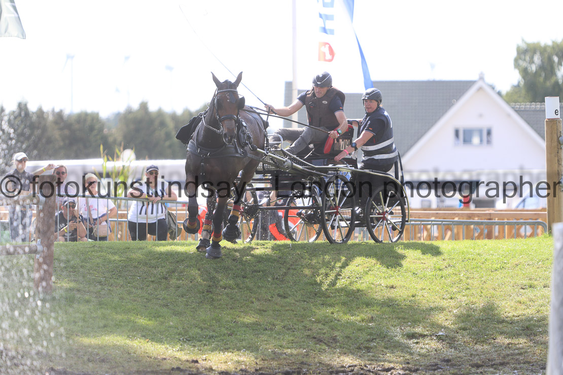  WM 1sp Horses