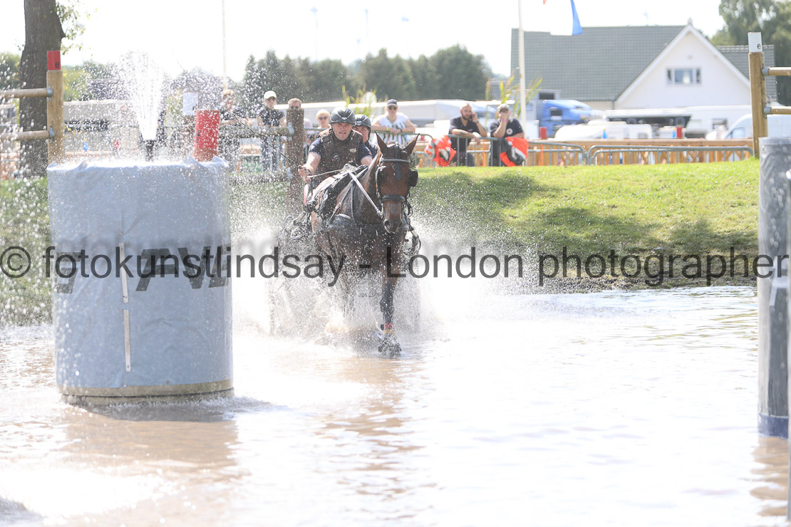 WM 1sp Horses